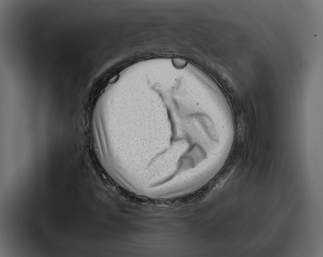 X0000087051494200705160940