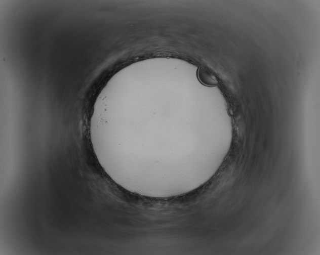 X0000087051495200705160940