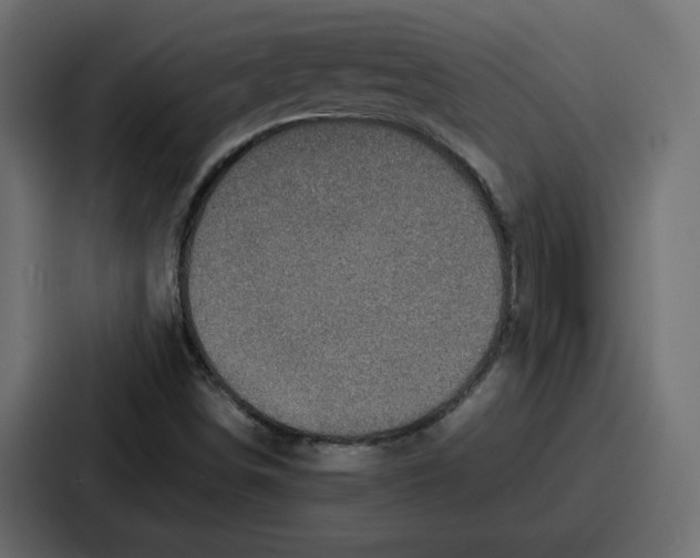 X0000087051498200705160940