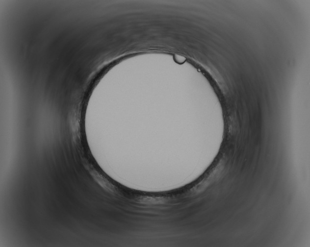 X0000087051499200705160940