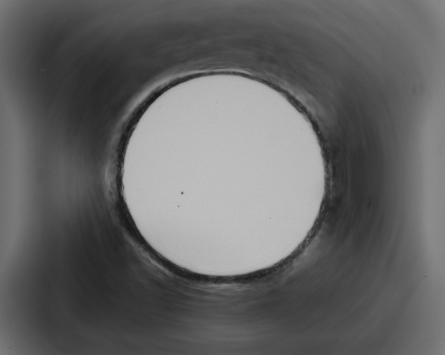 X0000087051502200705160940