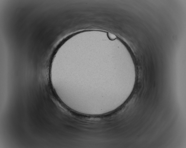 X0000087051503200705160940