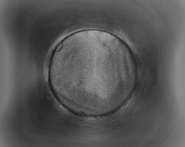 X0000087051504200705160940