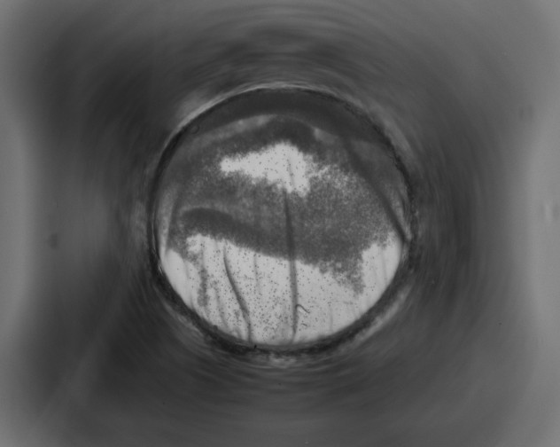 X0000087051505200705160940