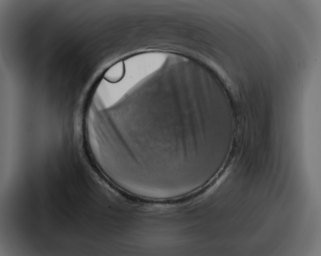 X0000087051506200705160940