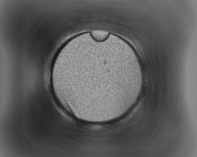 X0000087051507200705160940