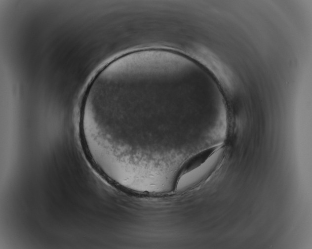 X0000087051508200705160940