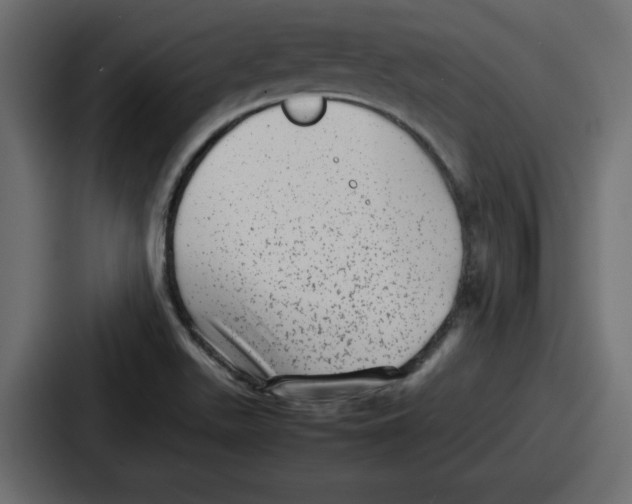 X0000087051511200705160940