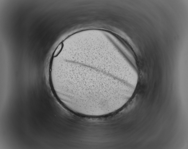 X0000087051512200705160940