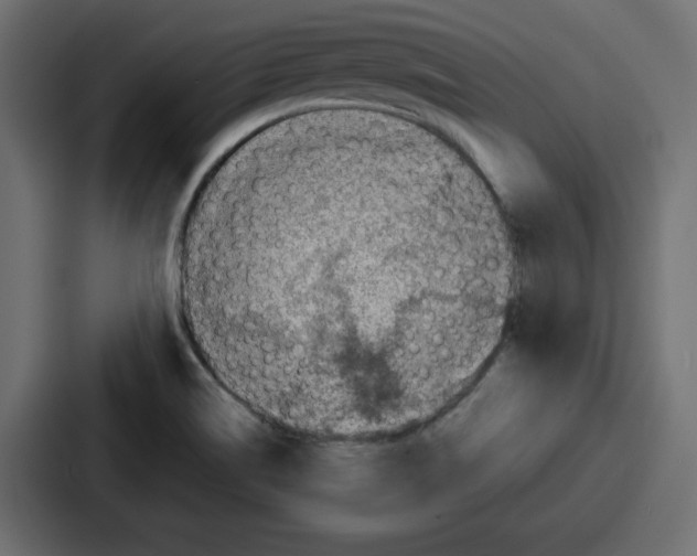 X0000087051514200705160940