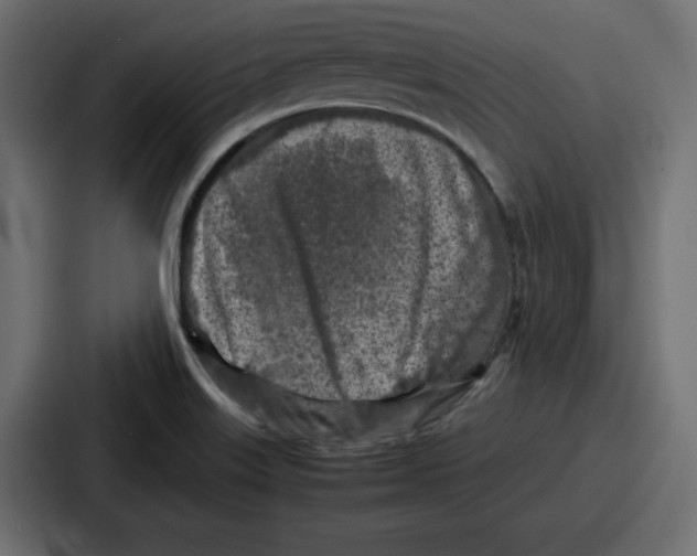 X0000087051515200705160940