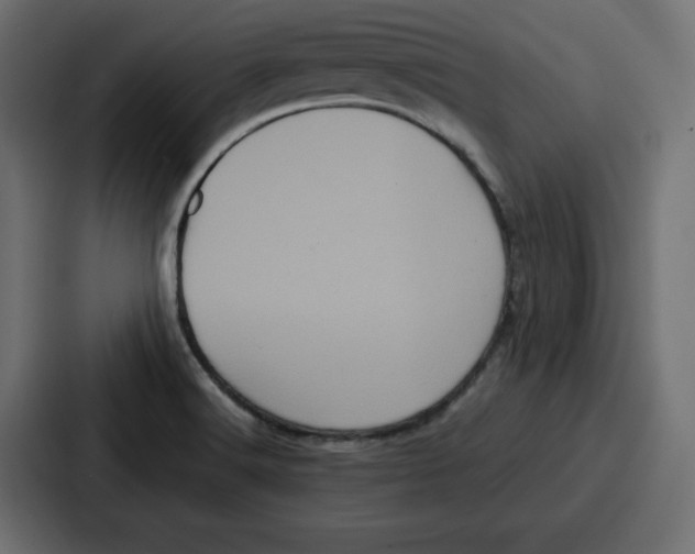 X0000087051516200705160940