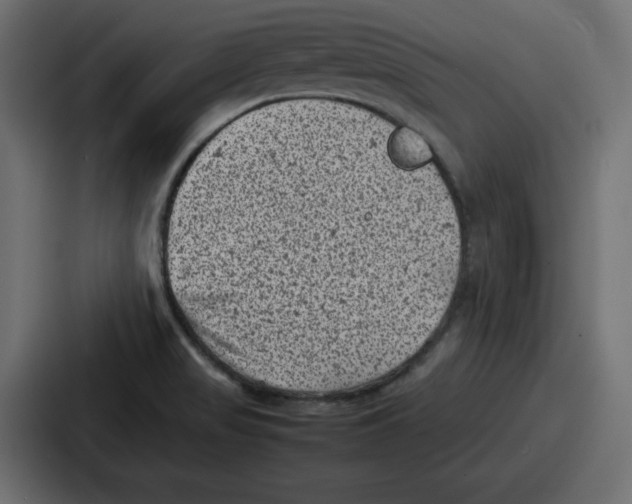 X0000087051517200705160940