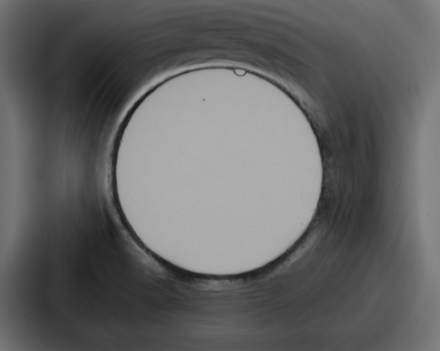 X0000087051518200705160940