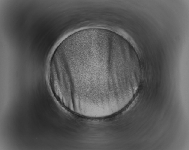 X0000087051520200705160940