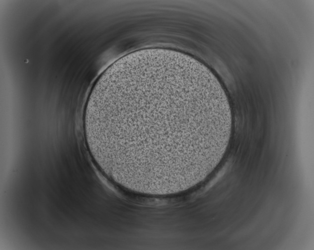 X0000087051521200705160940