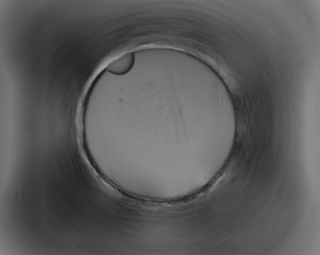 X0000087051522200705160940