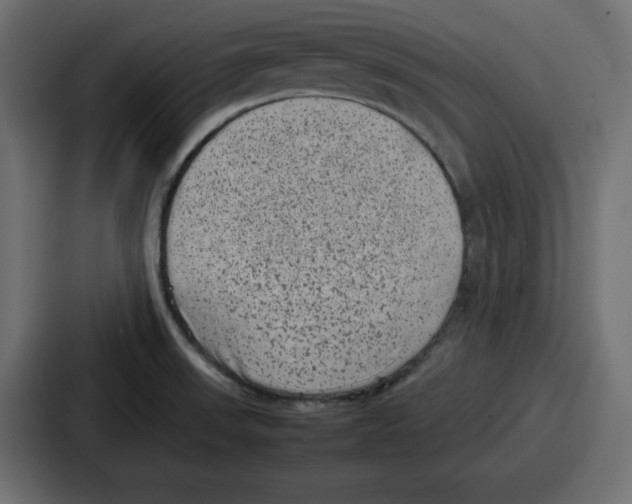 X0000087051523200705160940