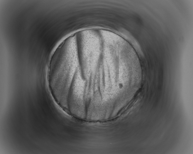 X0000087051524200705160940