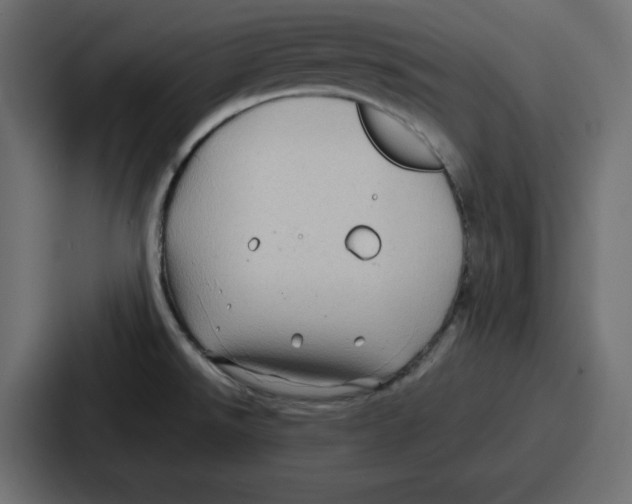 X0000087051526200705160940