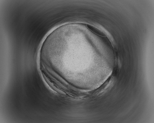 X0000087051528200705160940