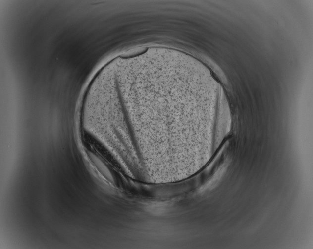 X0000087051530200705160940