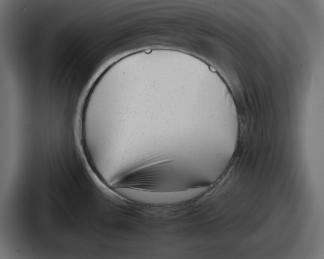 X0000087051531200705160940