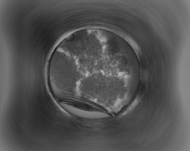 X0000087051533200705160940