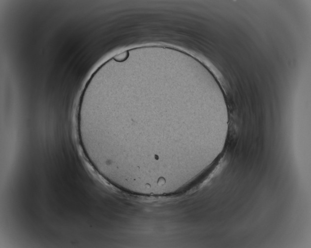 X0000087051534200705160940