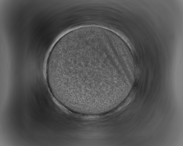 X0000087051535200705160940