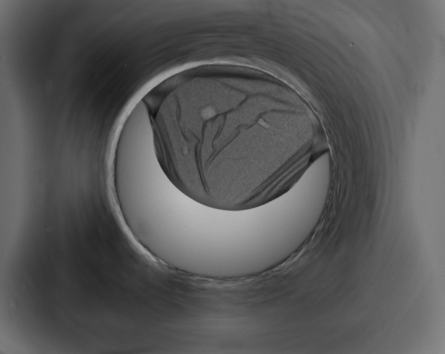 X0000087051536200705160940