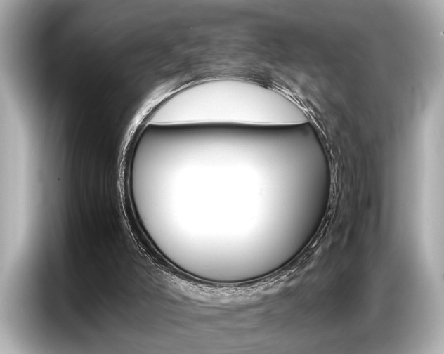 X0000087060006200704180947