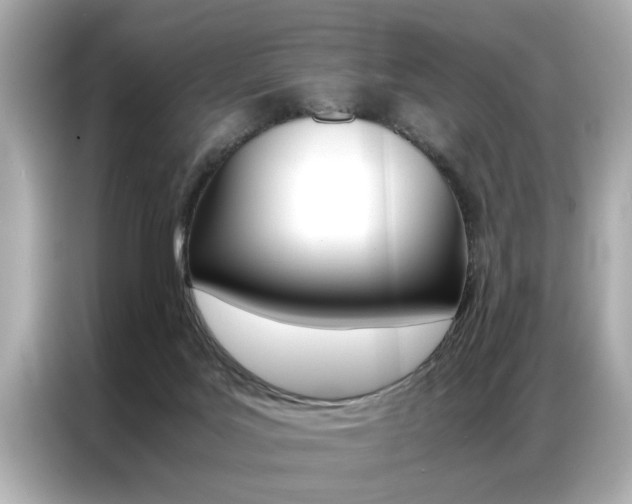 X0000087060027200704180947