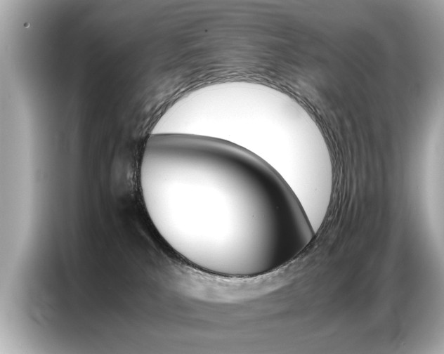 X0000087060039200704180946