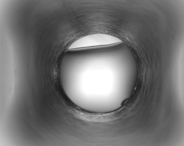 X0000087060040200704180946
