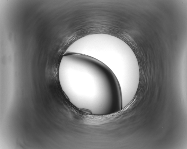 X0000087060045200704180946