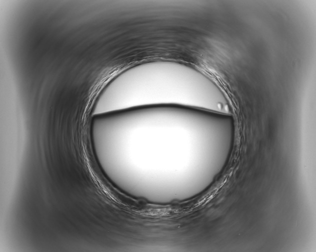 X0000087060049200704180946