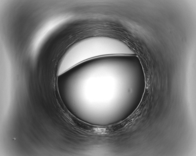 X0000087060052200704180946