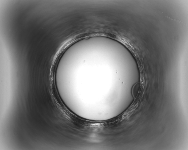X0000087060053200704180946