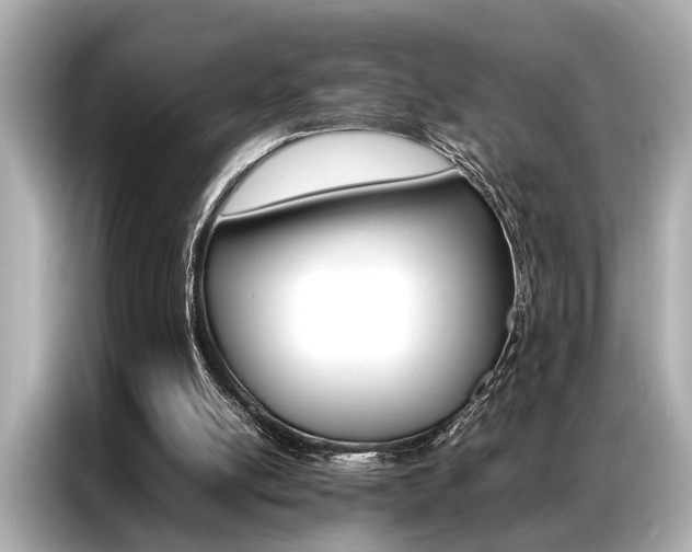 X0000087060054200704180946