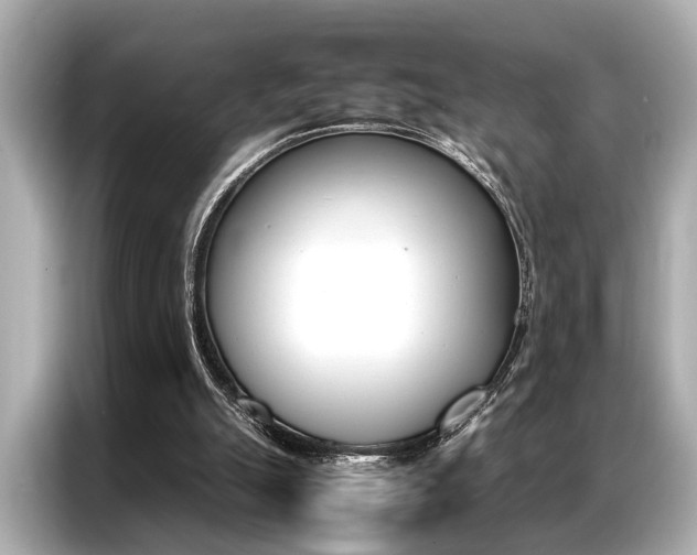 X0000087060055200704180946