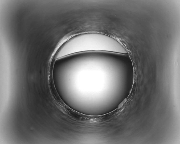 X0000087060056200704180946