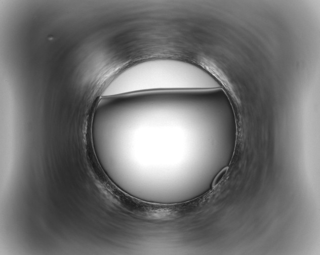 X0000087060058200704180946
