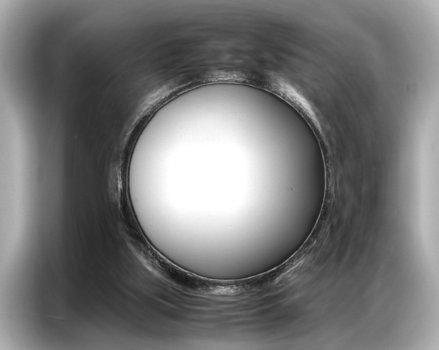 X0000087060059200704180946