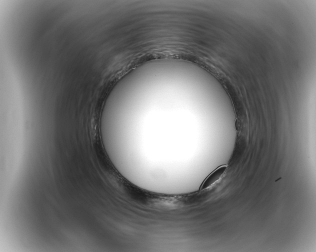 X0000087060086200704180946