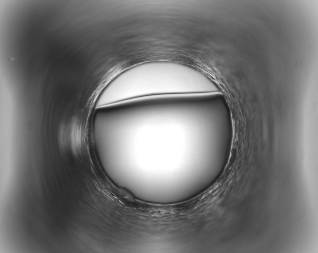 X0000087060099200704180946