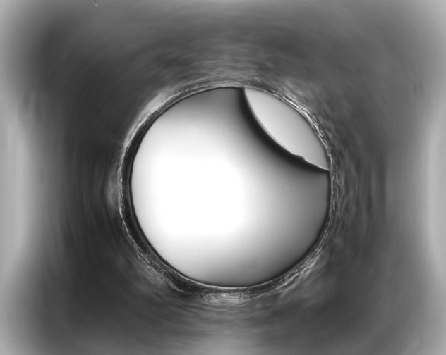 X0000087060102200704180946