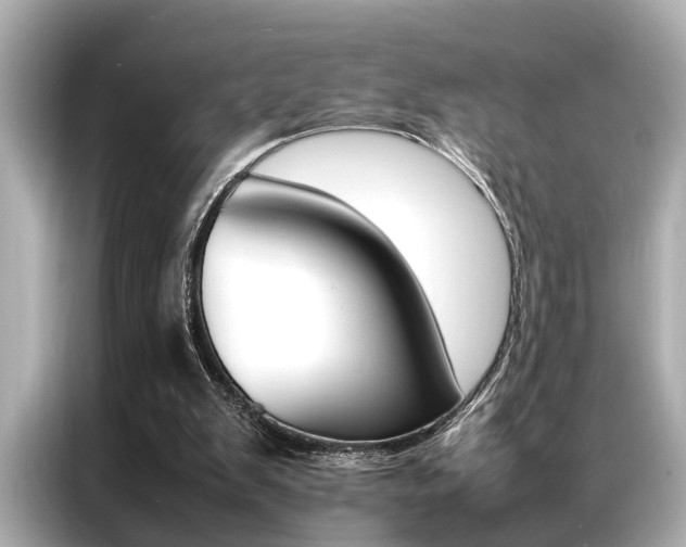 X0000087060103200704180946