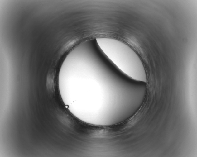 X0000087060116200704180945