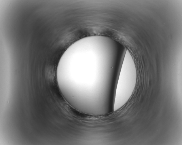 X0000087060129200704180945
